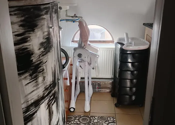 Ctyrka Проживание в семье